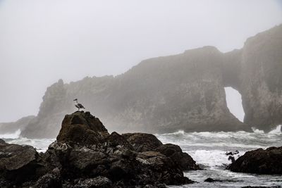 Scenic view of rock formation in sea against sky