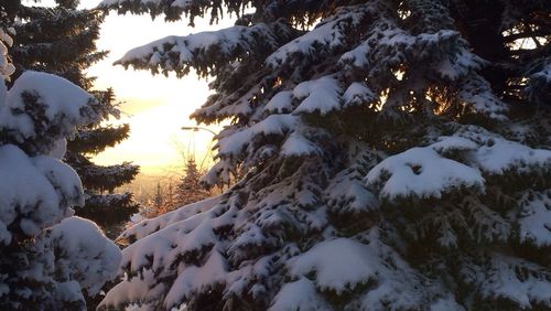 Scenic view of snow mountains against sky