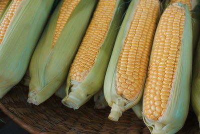 High angle view of corn for sale at market stall