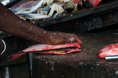 Hand holding fish for sale at market