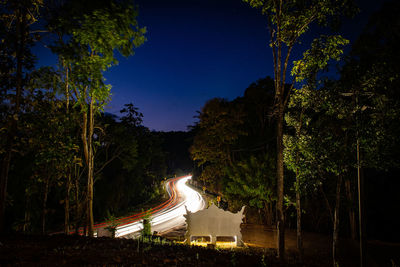 Light trails on street amidst trees against sky at night