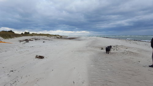 Low section of man standing at sandy beach against cloudy sky