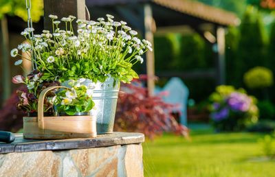 Flower pot on retaining wall in yard