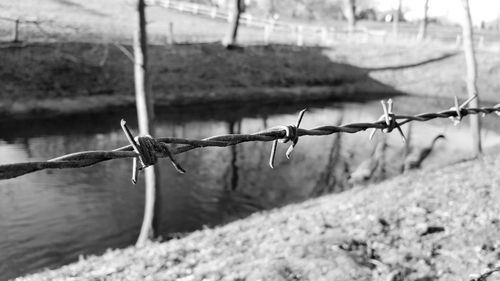 Close-up of barbed wire fence