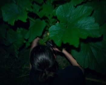 Rear view of woman with leaves in background at night