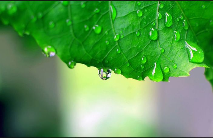 In the rain