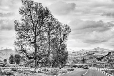 Road amidst bare trees against sky