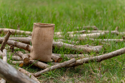 Close-up of tree stump on field