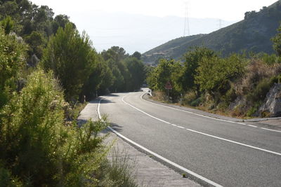 Road amidst trees and plants against sky