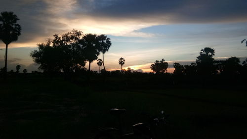 Silhouette trees on field against sky at sunset