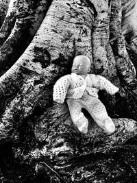 Full frame shot of stuffed toy on tree trunk