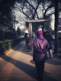 Rear view of couple walking on bare tree