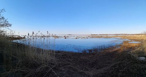 Scenic view of lake against clear blue sky