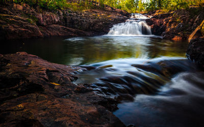 Stream flowing in forest