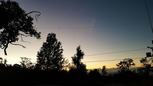 Silhouette trees against sky during sunset
