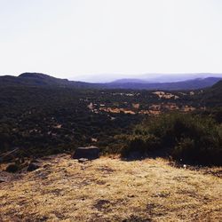 Scenic view of landscape against clear sky