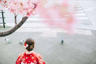 Rear view of woman standing by cherry blossom in city