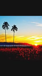 Scenic view of beach against sky during sunset