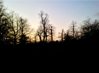 Silhouette of trees against clear sky