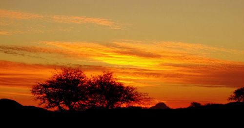 Silhouette trees on landscape against orange sky