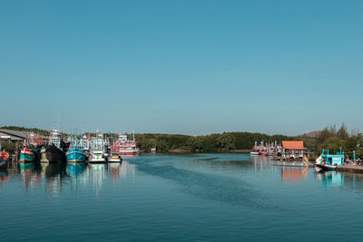 Sailboats moored in marina against clear sky