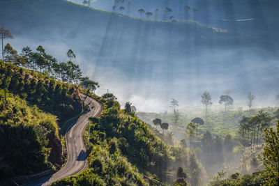 High angle view of winding road and  foggy valley against ray of sun light in the morning