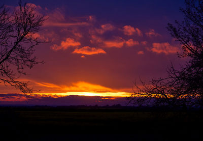 Silhouette trees on field against sky at sunset