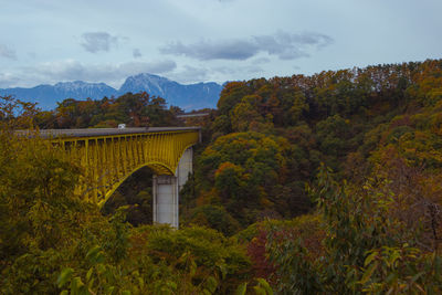 Arch bridge amidst plants and trees against sky