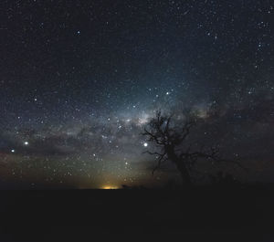 Silhouette trees on field against sky at night