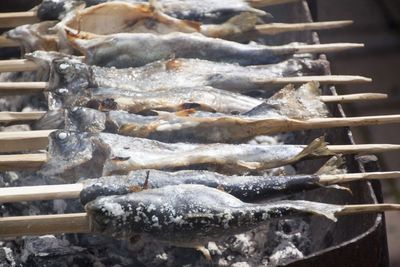 High angle view of fish for sale at market