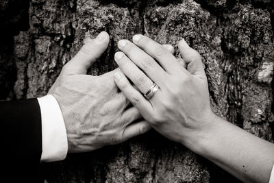 Close-up of couple hands on tree trunk