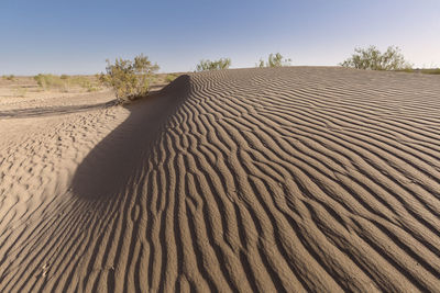 Sand dune in desert against sky