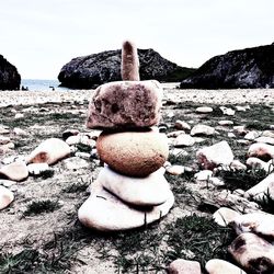 Close-up of tree on beach against sky