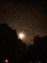 Low angle view of silhouette trees against sky at night