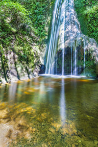 Scenic view of waterfall in forest