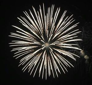 Firework display at night