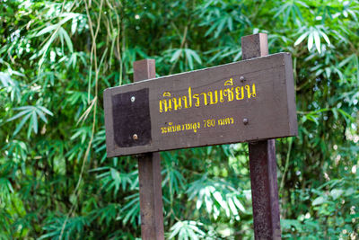 Information sign on tree in forest