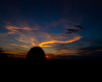 Silhouette trees on field against dramatic sky