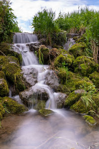 Scenic view of waterfall in forest