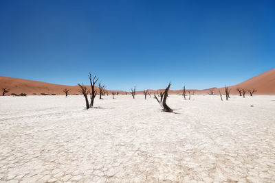 Scenic view of desert against clear sky