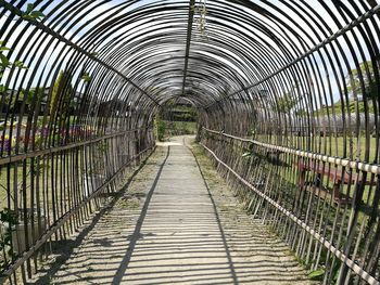 Empty footbridge in greenhouse