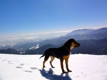 Snowy landscape with mountain range in the background