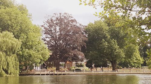 Reflection of trees in water against sky