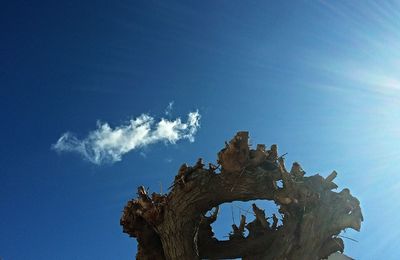 Low angle view of building against blue sky