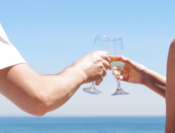 People raising toast at seaside