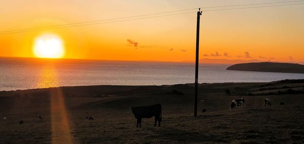 Scenic view of sunset over sea