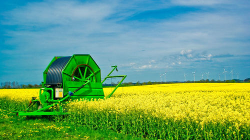 View of agricultural field with flowering oilseed rape and irrigation equipment