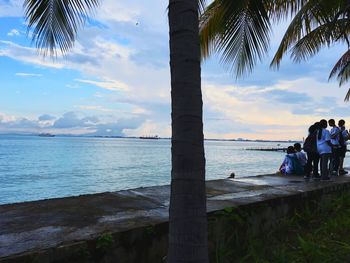 Palm trees on beach