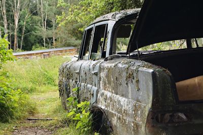 Abandoned car in forest