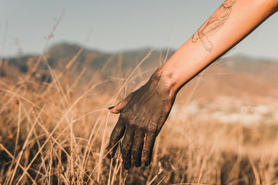 A femail hand covered in dark mud running gently through tall golden grass with mountains. 